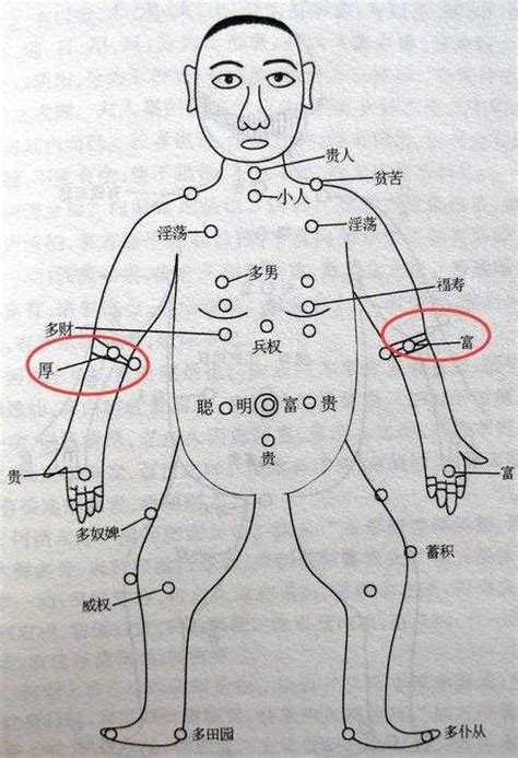 手臂內側痣|手上長痣圖解大全